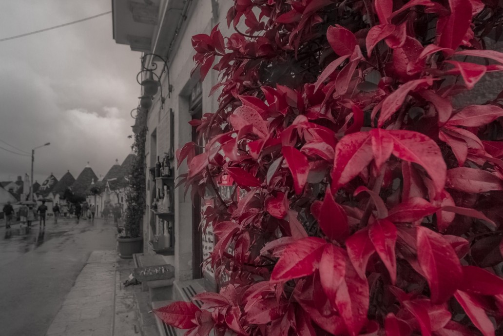 The-Von-Restorff-Effect-in-UX-Design