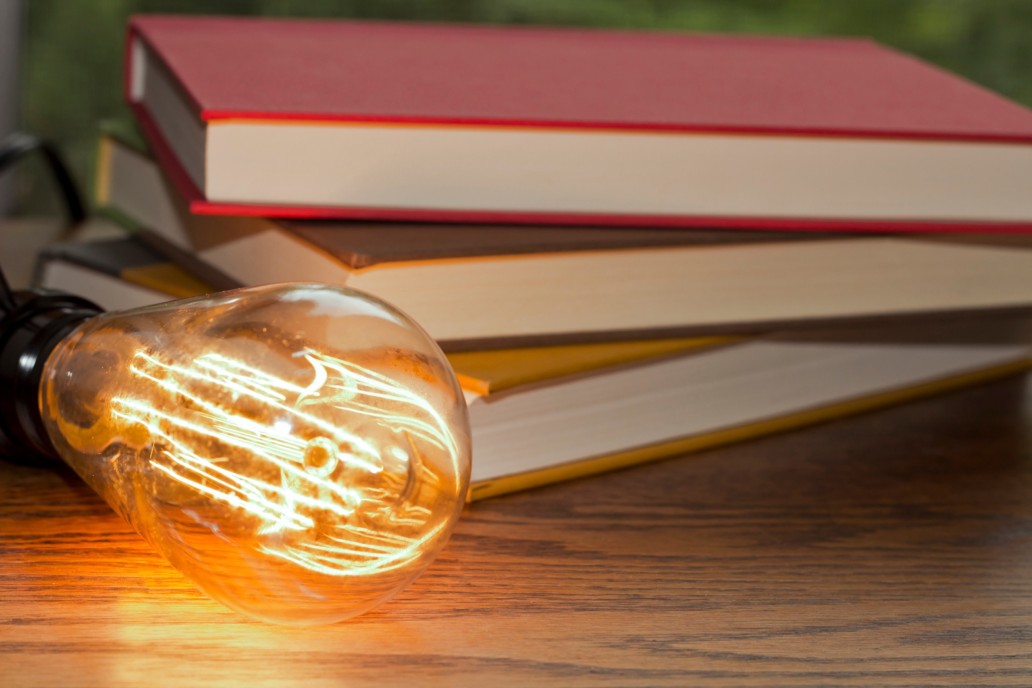 Should-Learning-Styles-be-Considered-in-the-Training-Process