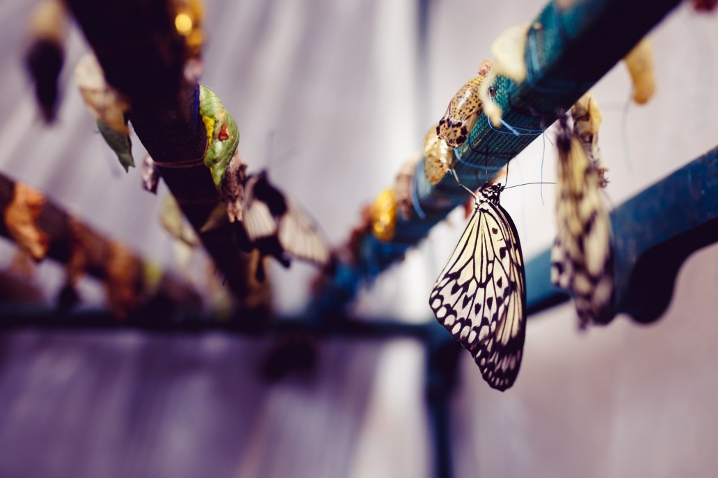 Enterprise BPM Transformation - Embrace the change