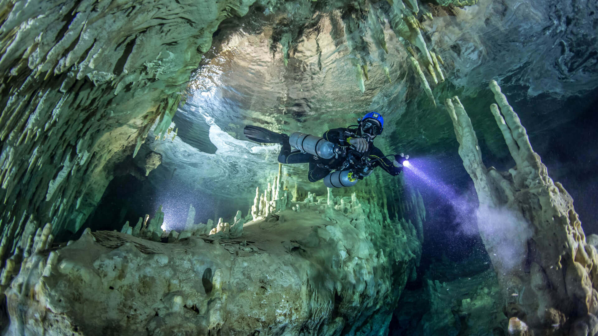 Family & Children Header