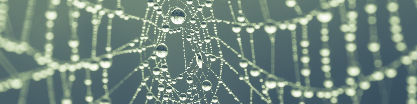 [Webinar] Cognitive Task Analysis in Practice: Exploring Methods