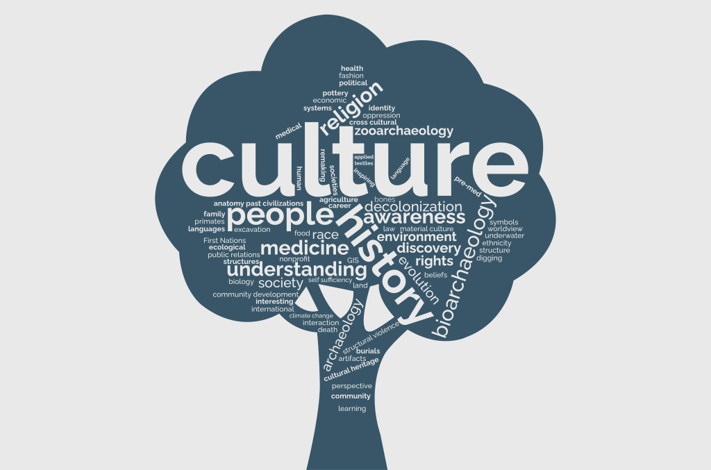 Value_of_anthropology