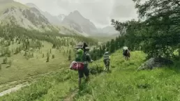 Organization Transformation