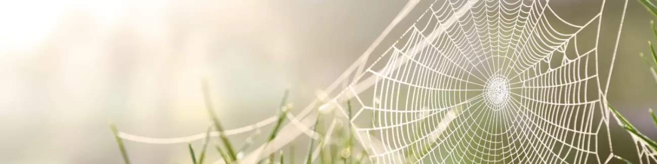 [Webinar] Apply Cognitive Task Analysis (CTA) to improve training (part 1)