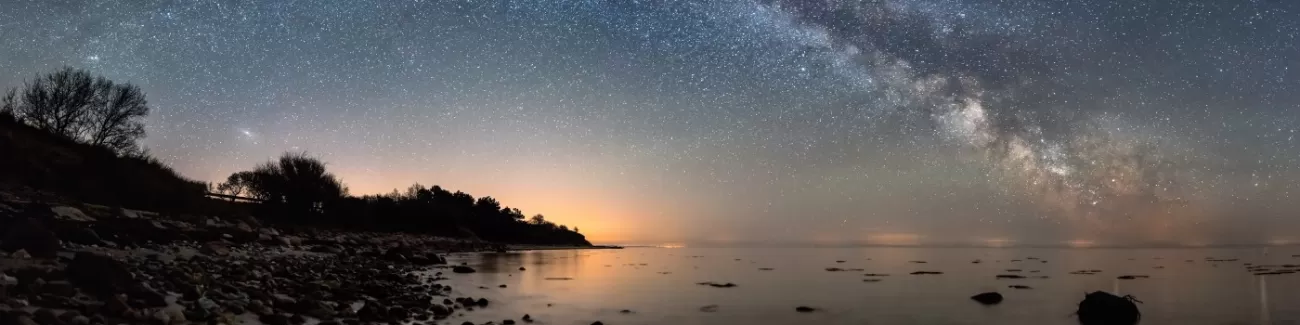 [Webinar] Explore the origins, current state, and future of RPA